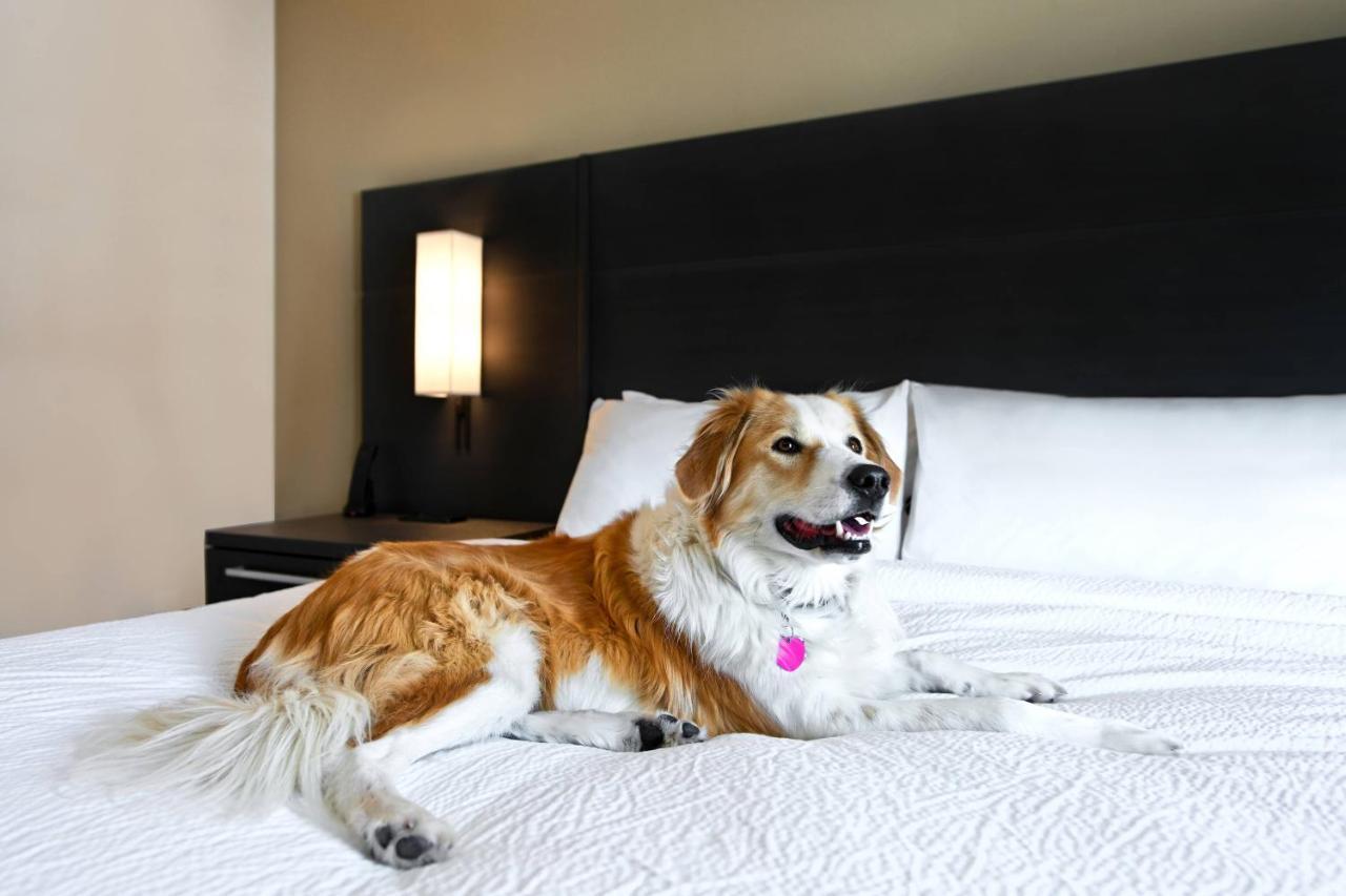 Residence Inn Steamboat Springs Luaran gambar
